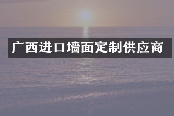 广西进口墙面定制供应商