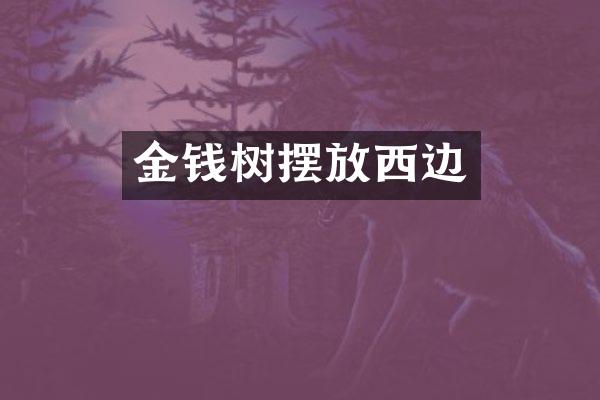 金钱树摆放西边