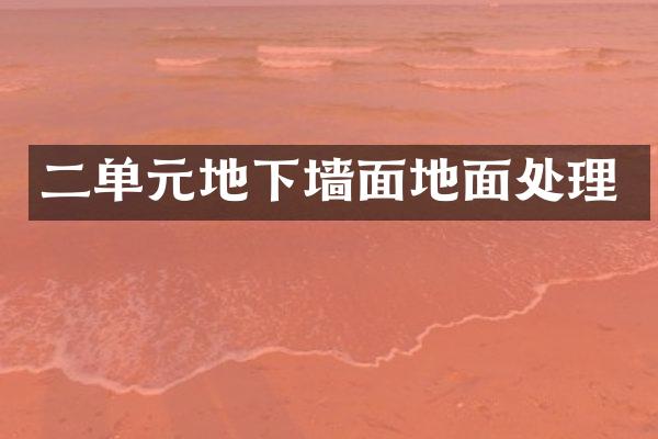 二单元地下墙面地面处理
