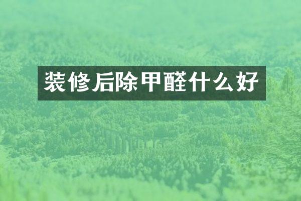 装修后除甲醛什么好
