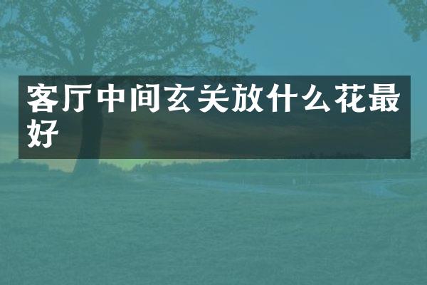 客厅中间玄关放什么花最好