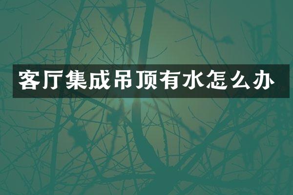 客厅集成吊顶有水怎么办