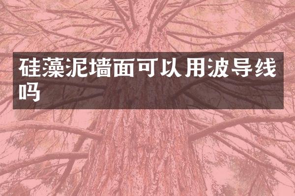 硅藻泥墙面可以用波导线吗