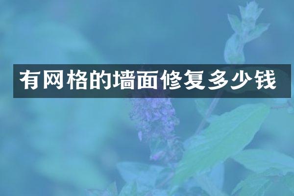 有网格的墙面修复多少钱
