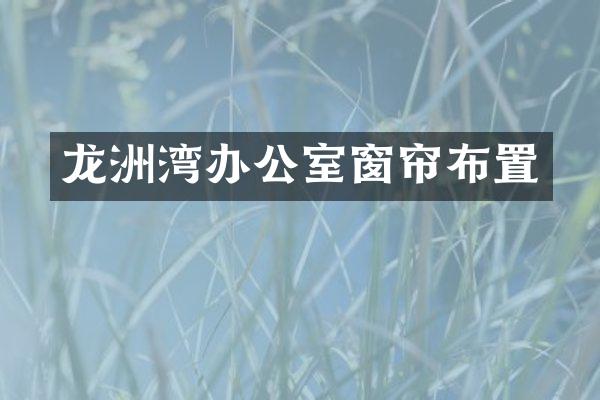 龙洲湾办公室窗帘布置