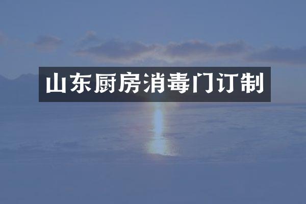 山东厨房消毒门订制
