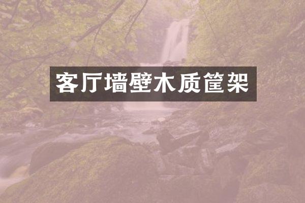 客厅墙壁木质筐架
