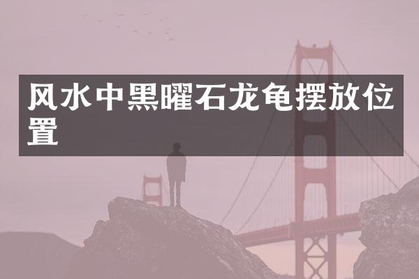 风水中黑曜石龙龟摆放位置