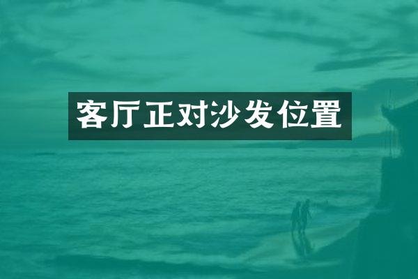 客厅正对沙发位置