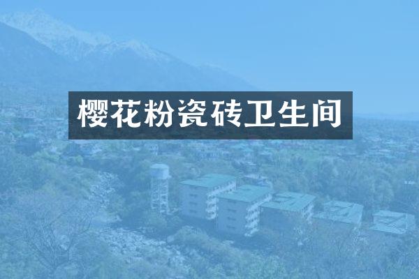 樱花粉瓷砖卫生间