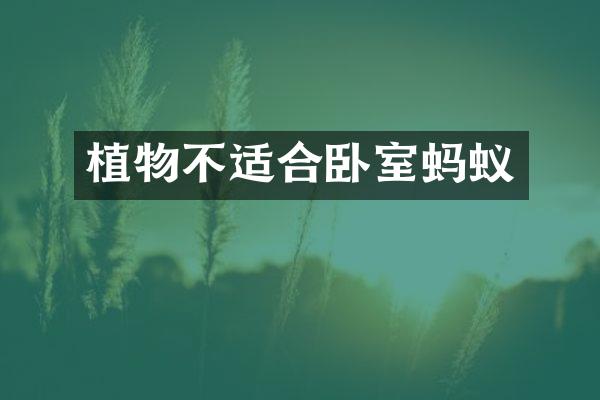 植物不适合卧室蚂蚁