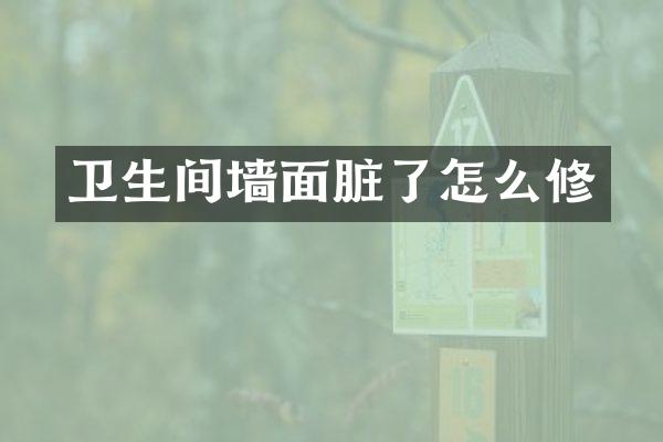 卫生间墙面脏了怎么修