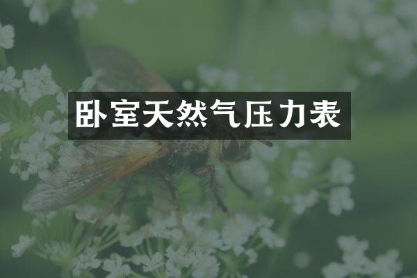卧室天然气压力表