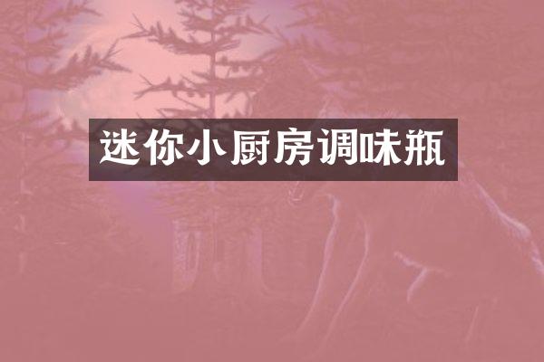 迷你小厨房调味瓶