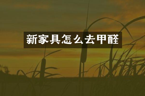 新家具怎么去甲醛