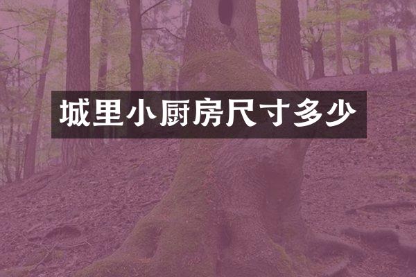 城里小厨房尺寸多少