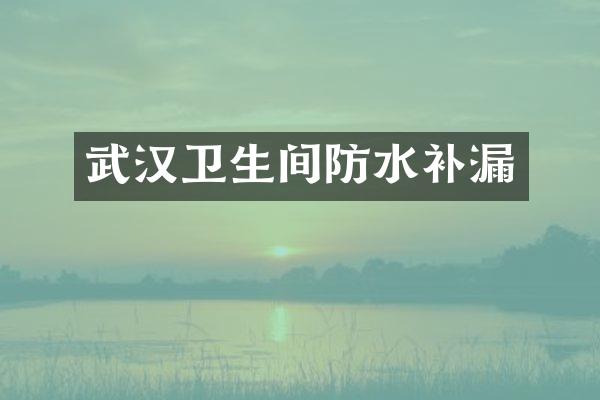 武汉卫生间防水补漏
