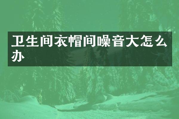 卫生间衣帽间噪音大怎么办