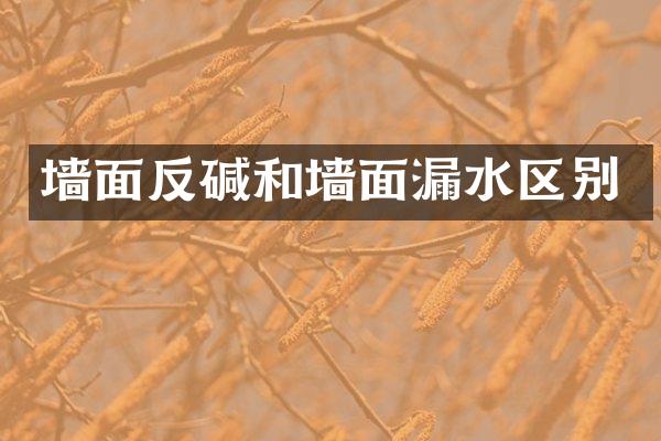 墙面反碱和墙面漏水区别