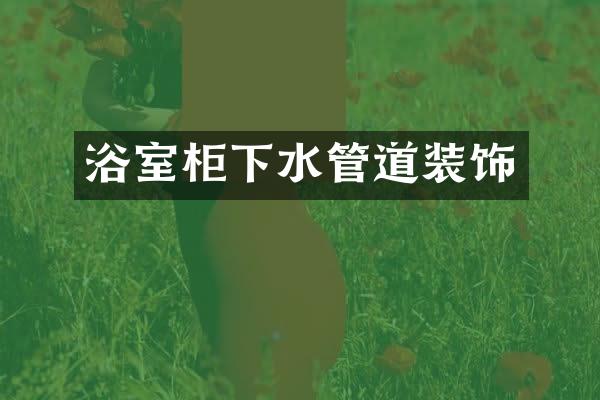 浴室柜下水管道装饰
