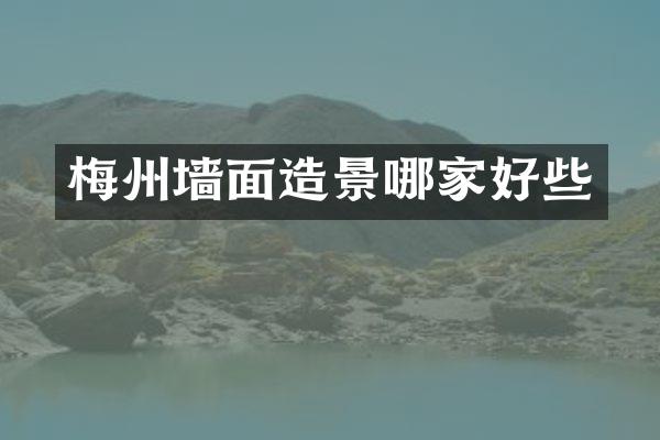 梅州墙面造景哪家好些