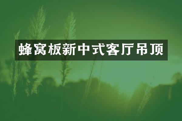 蜂窝板新中式客厅吊顶