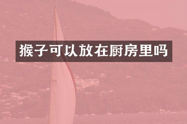 猴子可以放在厨房里吗