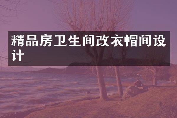 精品房卫生间改衣帽间设计