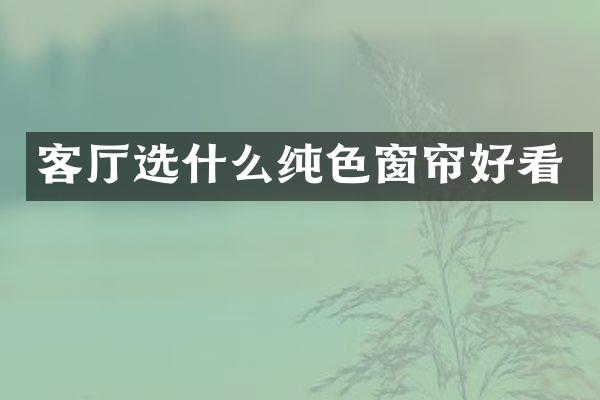 客厅选什么纯色窗帘好看
