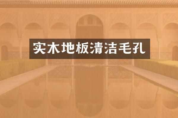 实木地板清洁毛孔