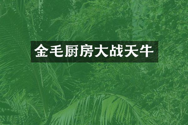 金毛厨房大战天牛