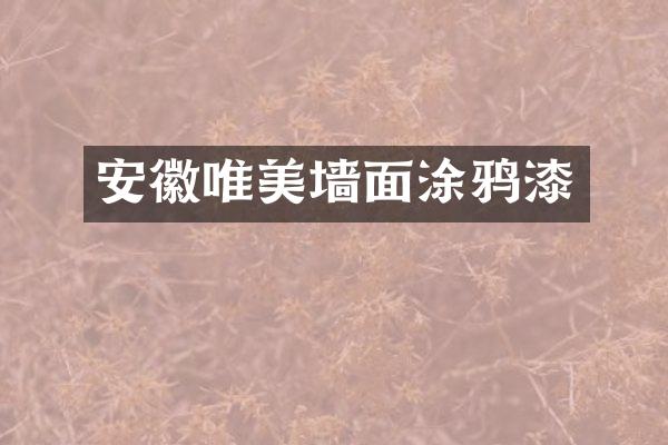 安徽唯美墙面涂鸦漆