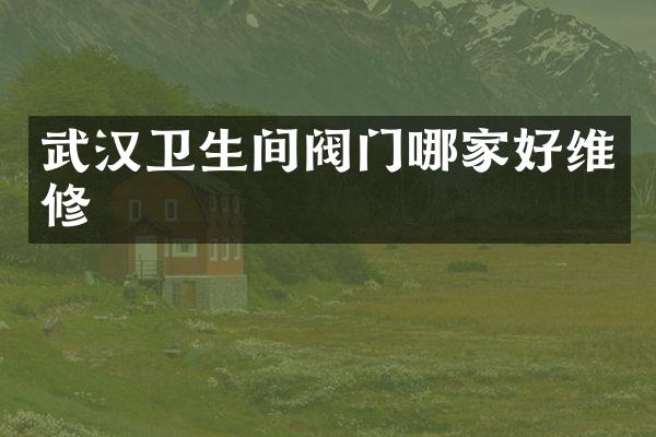 武汉卫生间阀门哪家好维修
