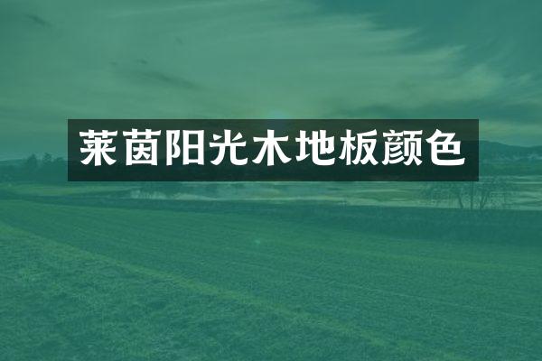 莱茵阳光木地板颜色