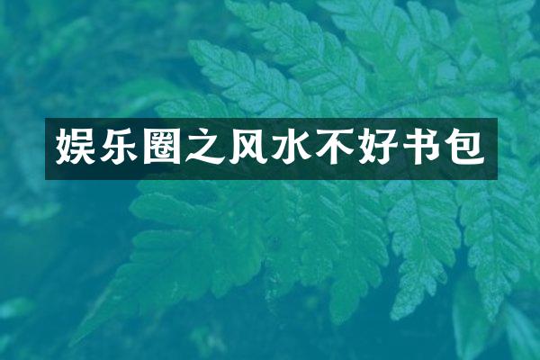 娱乐圈之风水不好书包