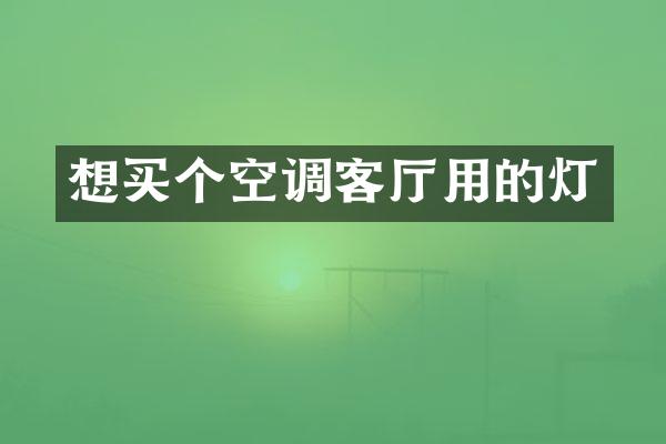 想买个空调客厅用的灯