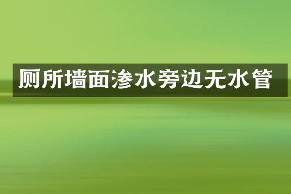 厕所墙面渗水旁边无水管