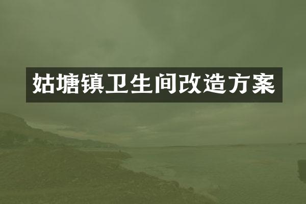 姑塘镇卫生间改造方案