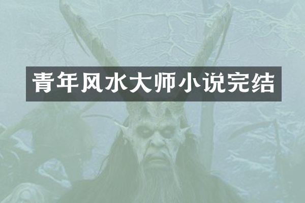 青年风水大师小说完结