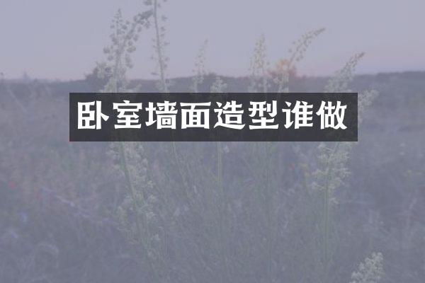 卧室墙面造型谁做