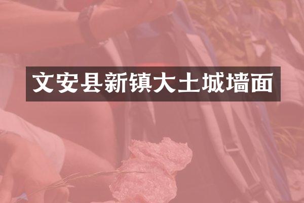 文安县新镇大土城墙面