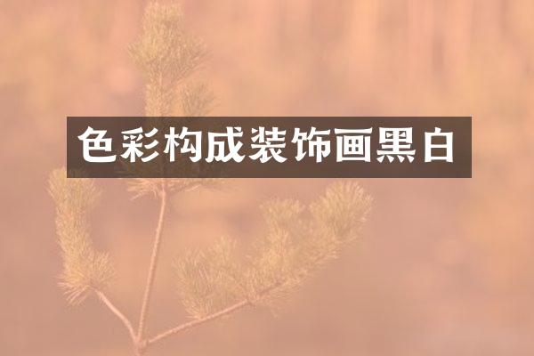 色彩构成装饰画黑白