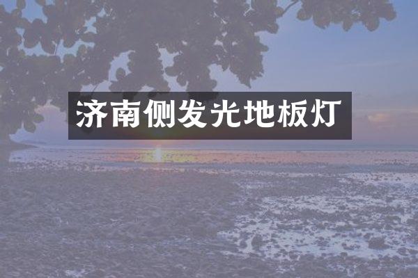济南侧发光地板灯