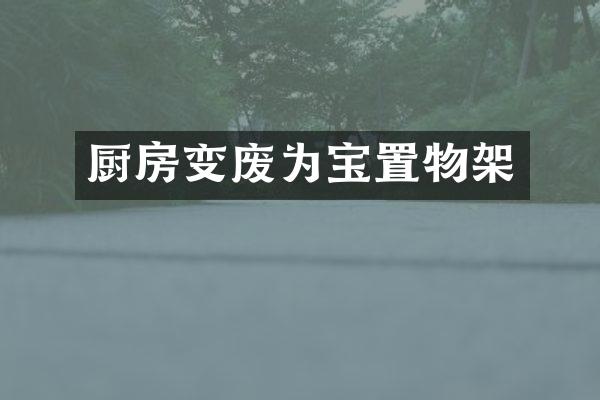 厨房变废为宝置物架