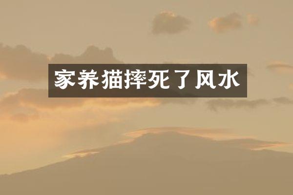 家养猫摔死了风水