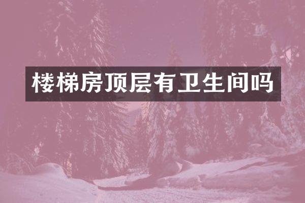 楼梯房顶层有卫生间吗