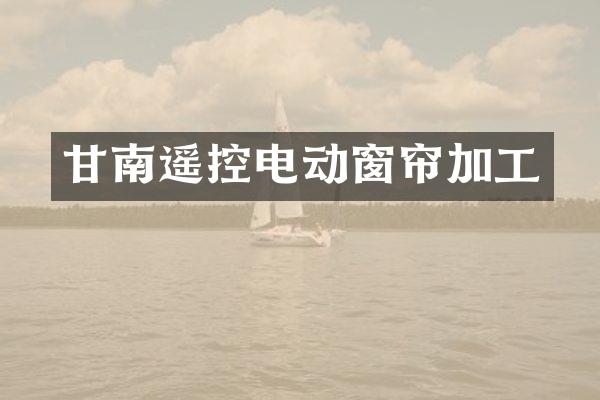 甘控电动窗帘加工