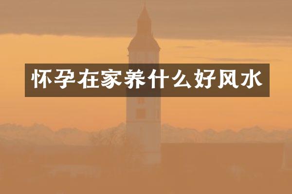 怀孕在家养什么好风水