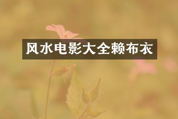 风水电影大全赖布衣