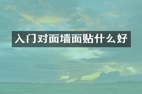 入门对面墙面贴什么好
